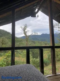 Finca MamaChakra - Cabañas - Camping - Image 3