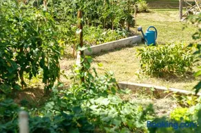 L'Envol - Oasis Ressource - Image 1