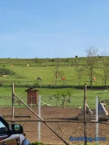 Casa de vacanta Turcoaz - Image 2