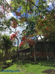 Guest House Tânia Alves - Image 2