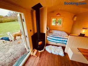 The Woolly Retreat Alpaca shepherds hut - Image 5