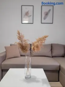 Center River Apartment - Image 3