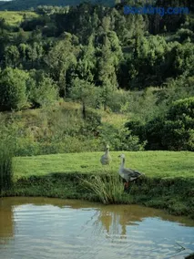 La Dolce Vita, Guatavita - Image 3