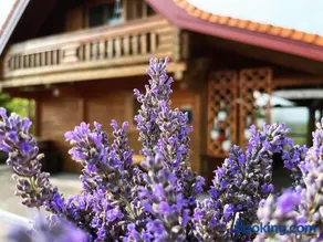 Wooden house Brezni - Image 2
