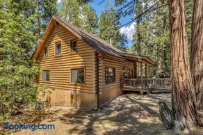 Rustic Elegance - A Woodland Escape - Image 3