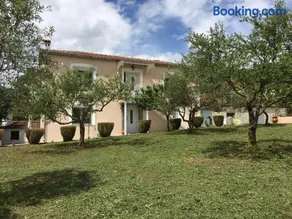 Olive Grove - Image 2