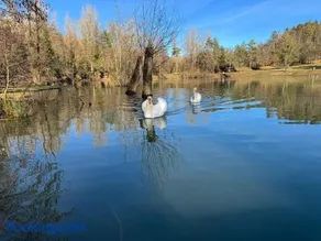 Il Lago dei Cigni - Glamping & Restaurant - Image 2