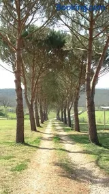 Borgognano Farm House - Image 3