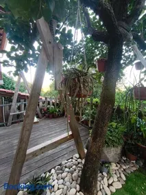 Casa da Maria Gata - Image 3