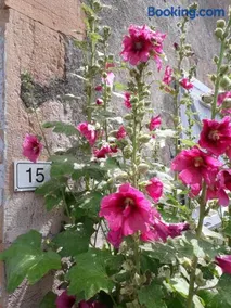 La Maison du vigneron - Image 2