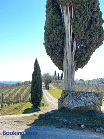 Casa Rossella, incantevole casa con piscina in Tenuta storica del Chianti - Image 4