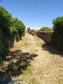 Alojamiento Rural La Arboleda - Image 5