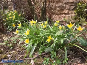 Gite THEYS Floing - Image 2