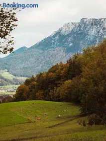 Das Luegstein - Image 4