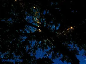 Backwoods Cabana - Image 4