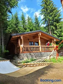 Cabanele Silvania - Image 2