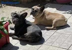 La Vignalié - Image 1