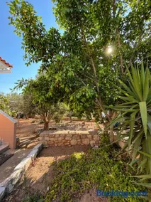 Harry's House - Image 5