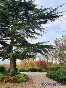 Gîte La Tour du Moulin - Image 3