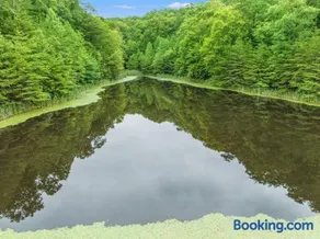 Hidden Treasure- Private Pool, Pond, 1600 Acres - Image 5