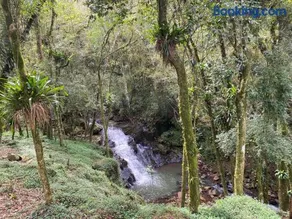 Cabana Vale das Bromélias - Image 3