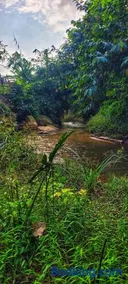 Ka Mariang Nature Retreat - Image 3