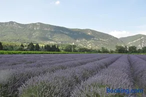 Un petit coin de paradis - Image 2