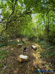 The Piggery - Image 5