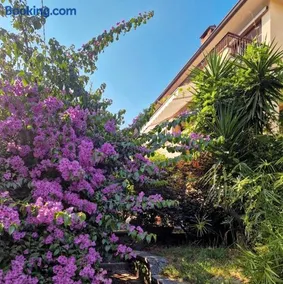 La Bouganville MV - Image 3