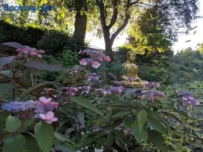 Cascades Gardens - Image 1