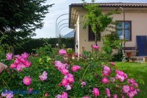 Villa Giulia - Image 2