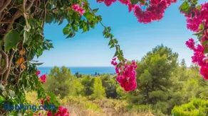 Quinto Pino Frigiliana by Ruralidays - Image 4