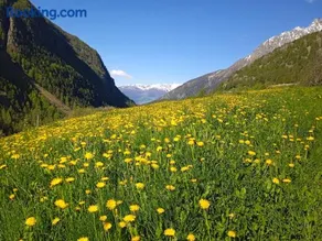 Maison Neige Et Soleil - Image 1