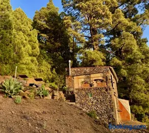 Tiny House Vogelnest - Image 2