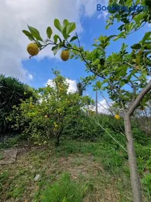 Iliana's Bungalow - Image 4