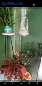 Luiza Helena - Image 1