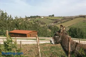 Quinta dos Castanheiros - Image 3
