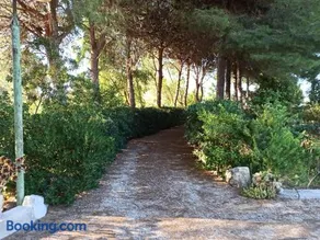 Casa dei Nonni by Briciole di Gusto - 3000mq di relax in giardino a 1500m dal mare - Image 2