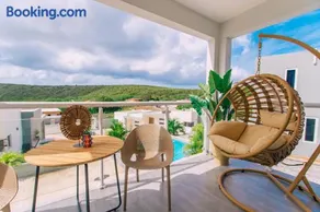 Casa Sun's Buddy - Image 3