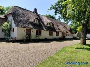 Ferienwohnung im Reetdachhaus Hallerhus - Image 3