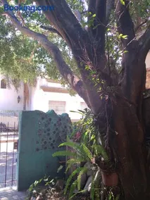 Casa de botellas - Image 2