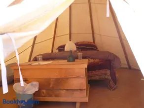 Alpaka-Tipi-Park - Image 5
