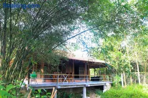 Thỏ House - Image 2
