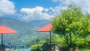 Himalaya Serene View Guest House & Farm Stay - Image 4