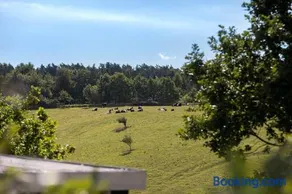 8403-Ebeltoft-Blackholmsvej-6 - Image 2