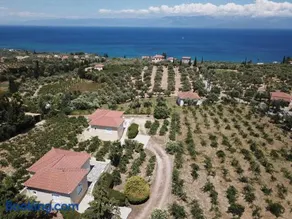 ORFANOS 3 - Image 1
