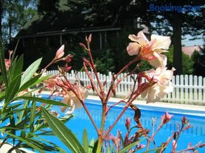 Guest House Westwood - Image 1