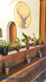 Ghazala hotel dahab - Image 2
