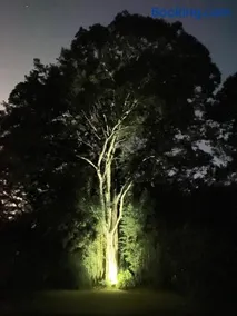Recanto da Floresta - Casa de campo em Secretário - Image 5