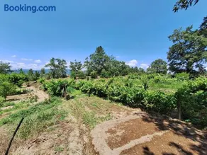Quinta da Portela - Image 5